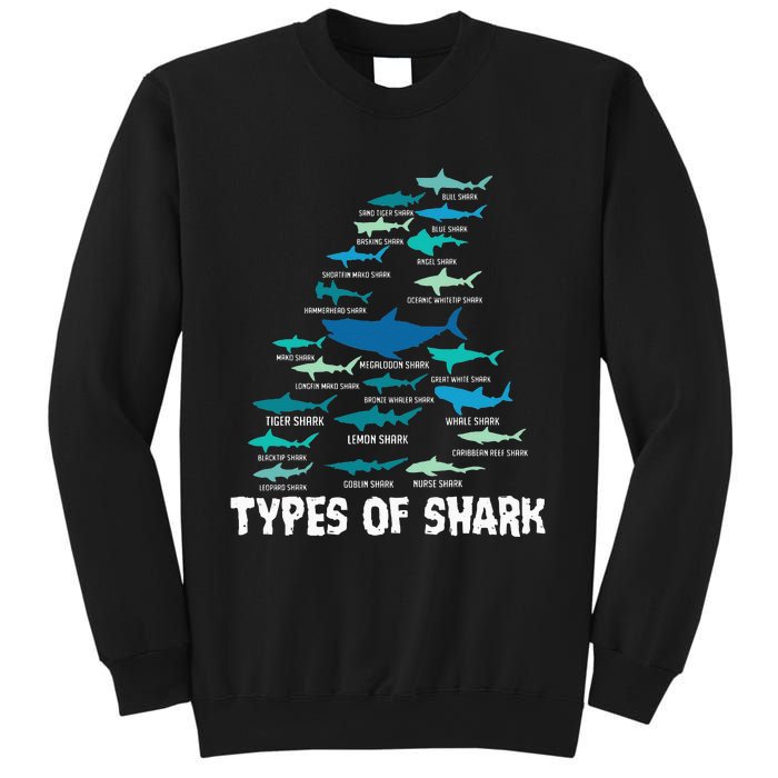 Types Of Shark Megalodon Great White Nurse Shark Sweatshirt