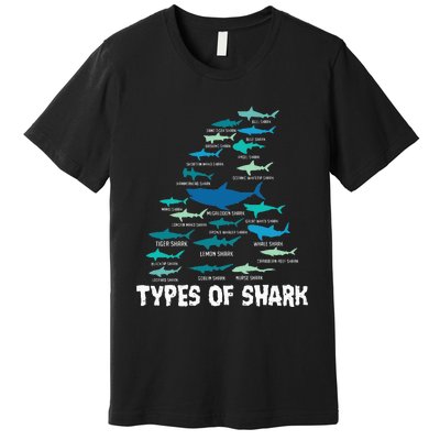 Types Of Shark Megalodon Great White Nurse Shark Premium T-Shirt