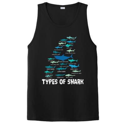 Types Of Shark Megalodon Great White Nurse Shark PosiCharge Competitor Tank