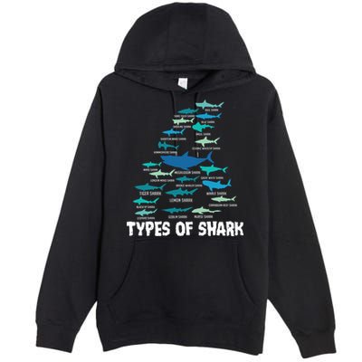 Types Of Shark Megalodon Great White Nurse Shark Premium Pullover Hoodie
