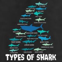 Types Of Shark Megalodon Great White Nurse Shark Tumbler