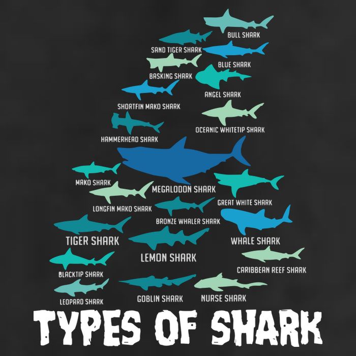Types Of Shark Megalodon Great White Nurse Shark Tumbler
