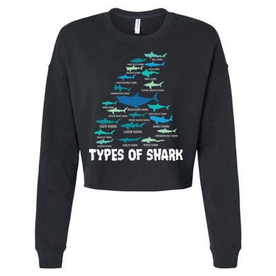Types Of Shark Megalodon Great White Nurse Shark Cropped Pullover Crew