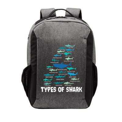 Types Of Shark Megalodon Great White Nurse Shark Vector Backpack