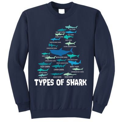 Types Of Shark Megalodon Great White Nurse Shark Sweatshirt