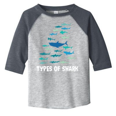 Types Of Shark Megalodon Great White Nurse Shark Toddler Fine Jersey T-Shirt