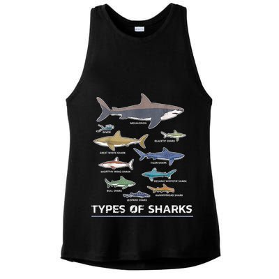 Types of Shark Megalodon Great White Nurse Shark Ladies PosiCharge Tri-Blend Wicking Tank