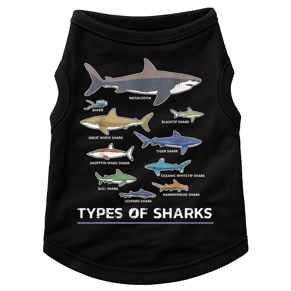 Types of Shark Megalodon Great White Nurse Shark Doggie Tank