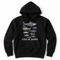 Types of Shark Megalodon Great White Nurse Shark Hoodie