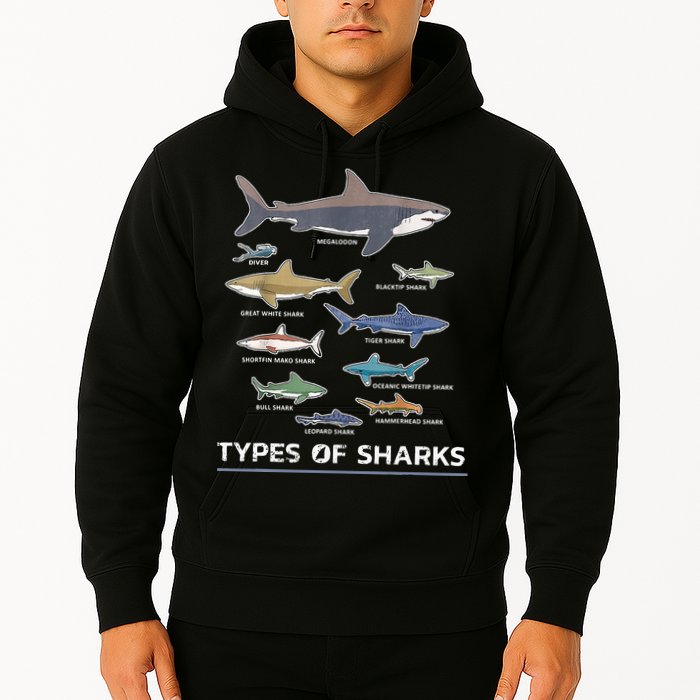 Types of Shark Megalodon Great White Nurse Shark Hoodie