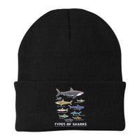 Types of Shark Megalodon Great White Nurse Shark Beanie