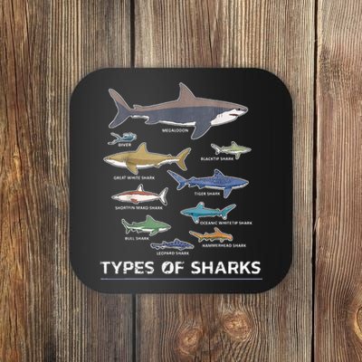 Types of Shark Megalodon Great White Nurse Shark Coaster