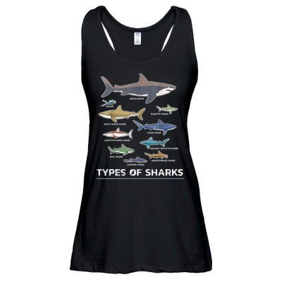 Types of Shark Megalodon Great White Nurse Shark Ladies Essential Flowy Tank