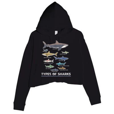 Types of Shark Megalodon Great White Nurse Shark Crop Fleece Hoodie