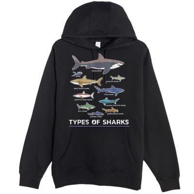 Types of Shark Megalodon Great White Nurse Shark Premium Pullover Hoodie