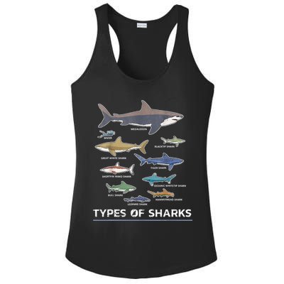 Types of Shark Megalodon Great White Nurse Shark Ladies PosiCharge Competitor Racerback Tank