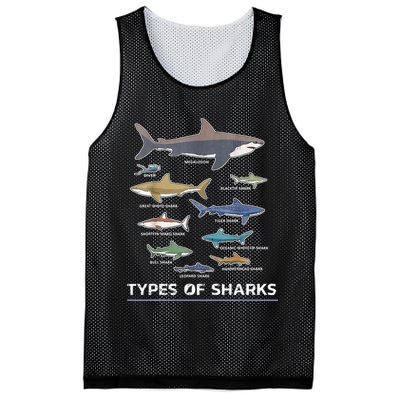 Types of Shark Megalodon Great White Nurse Shark Mesh Reversible Basketball Jersey Tank