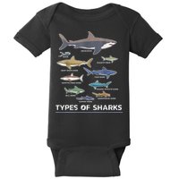 Types of Shark Megalodon Great White Nurse Shark Baby Bodysuit