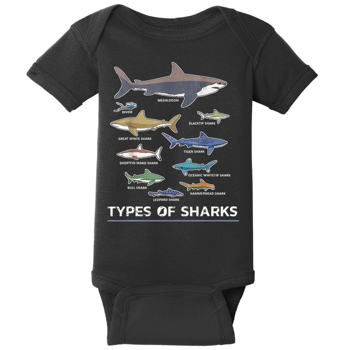 Types of Shark Megalodon Great White Nurse Shark Baby Bodysuit