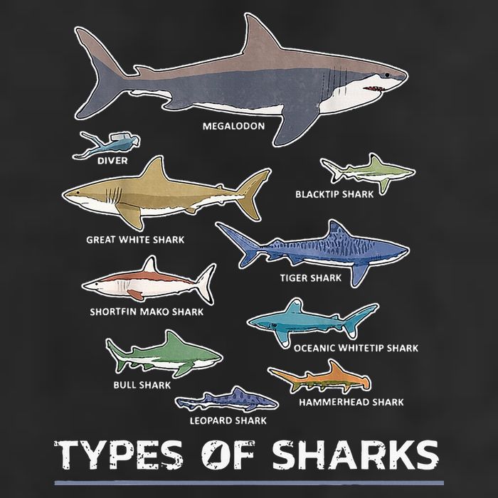 Types of Shark Megalodon Great White Nurse Shark Trucker Hat
