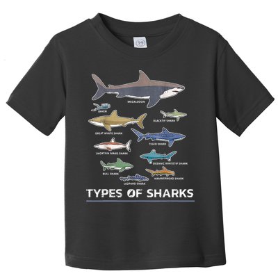 Types of Shark Megalodon Great White Nurse Shark Toddler T-Shirt