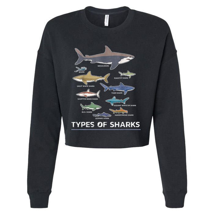 Types of Shark Megalodon Great White Nurse Shark Cropped Pullover Crew