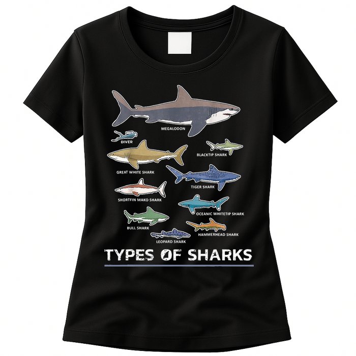 Types of Shark Megalodon Great White Nurse Shark Womens T-Shirt
