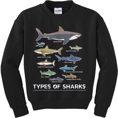 Types of Shark Megalodon Great White Nurse Shark Kids Sweatshirt