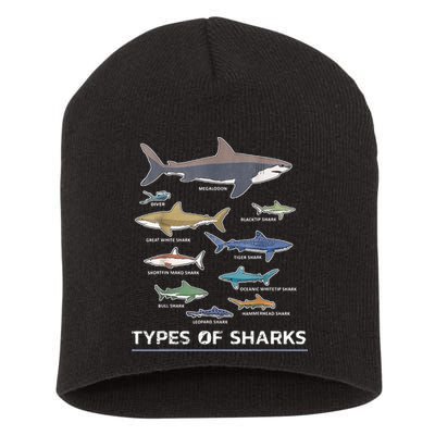 Types of Shark Megalodon Great White Nurse Shark Short Acrylic Beanie