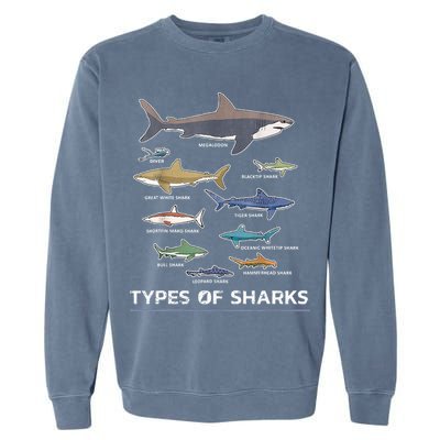 Types of Shark Megalodon Great White Nurse Shark Garment-Dyed Sweatshirt