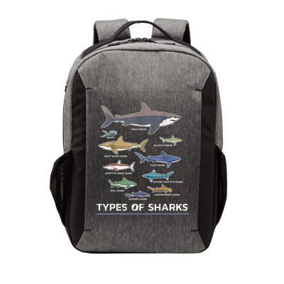Types of Shark Megalodon Great White Nurse Shark Vector Backpack
