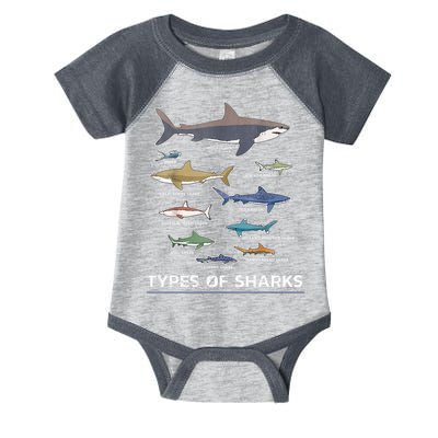 Types of Shark Megalodon Great White Nurse Shark Infant Baby Jersey Bodysuit