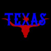 Texas Original State Longhorn Logo 16 in Basic Backpack
