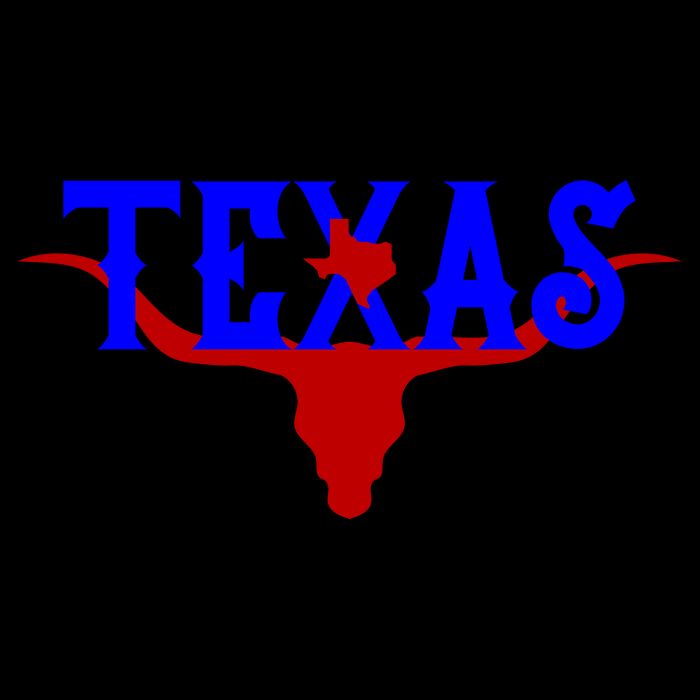 Texas Original State Longhorn Logo 16 in Basic Backpack