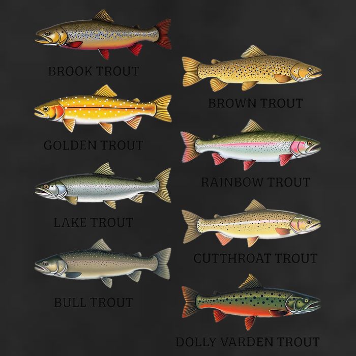 Types Of Trout Fish Trout Species Chart Ichthyology Guide Trucker Hat