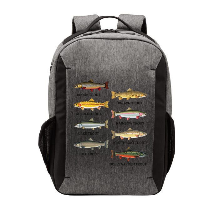 Types Of Trout Fish Trout Species Chart Ichthyology Guide Vector Backpack