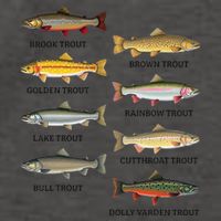 Types Of Trout Fish Trout Species Chart Ichthyology Guide Vector Backpack