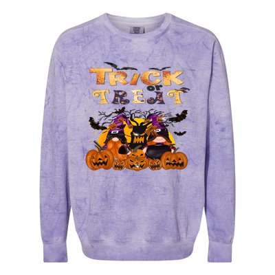 Trick Or Treat Cute Halloween Gnomes Cool Gift Colorblast Crewneck Sweatshirt