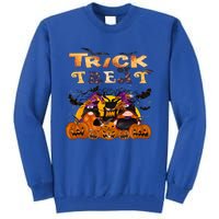 Trick Or Treat Cute Halloween Gnomes Cool Gift Tall Sweatshirt