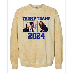 Trump Or The Tramp 2024 Vote For Trump Trump Vance 2024 Colorblast Crewneck Sweatshirt