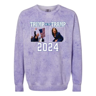 Trump Or The Tramp 2024 Vote For Trump Trump Vance 2024 Colorblast Crewneck Sweatshirt