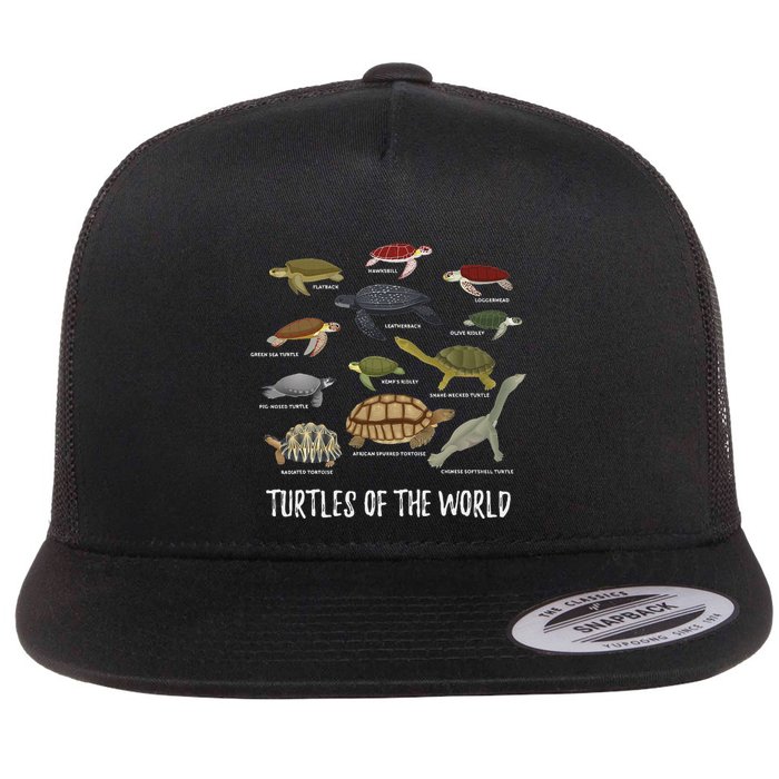 Turtles Of The World Apparel Turtle Types Of Turtle Flat Bill Trucker Hat