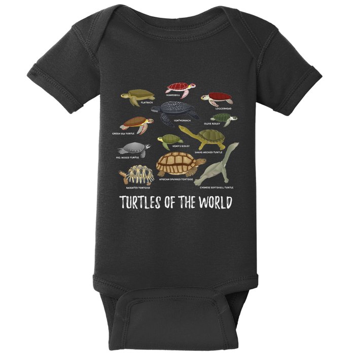 Turtles Of The World Apparel Turtle Types Of Turtle Baby Bodysuit