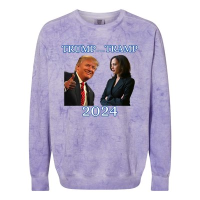 Trump Or The Tramp 2024 Vote For Trump Trump Vance Election Colorblast Crewneck Sweatshirt