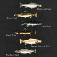 Types Of Trout Fish Species Collection Fishing Golf Towel
