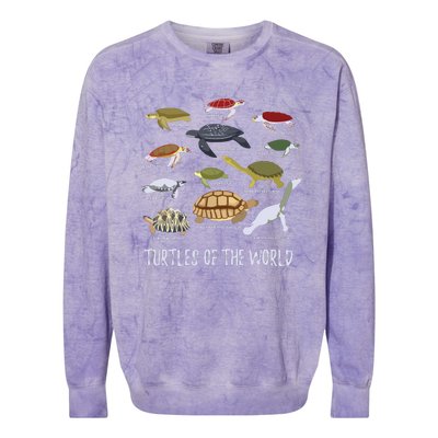 Types Of Turtle Tortoise Apparel Sea Turtle Lovers Colorblast Crewneck Sweatshirt