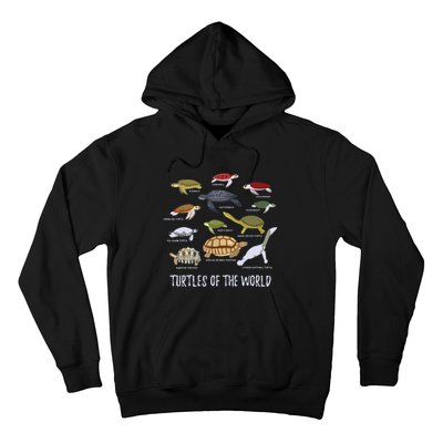 Types Of Turtle Tortoise Apparel Sea Turtle Lovers Hoodie