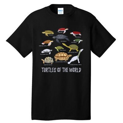 Types Of Turtle Tortoise Apparel Sea Turtle Lovers Tall T-Shirt