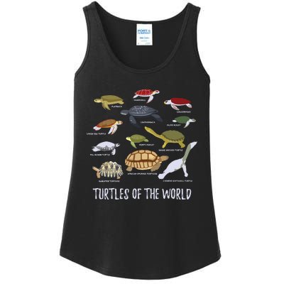 Types Of Turtle Tortoise Apparel Sea Turtle Lovers Ladies Essential Tank