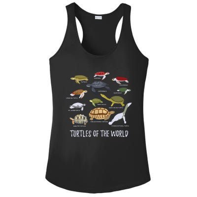 Types Of Turtle Tortoise Apparel Sea Turtle Lovers Ladies PosiCharge Competitor Racerback Tank